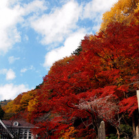 高尾山