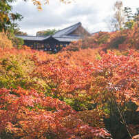 東福寺です。