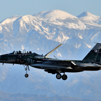 SIGMA(シグマ)のレンズ 60-600mm F4.5-6.3 DG OS HSM [ニコン用] で