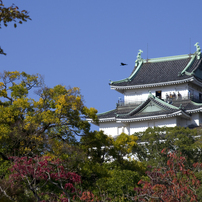 和歌山城の紅葉２０１９