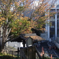 秋の神楽坂・朝昼（未完成）