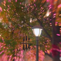 LENSBABY(レンズベビー)のレンズ コンポーザープロII スウィート50