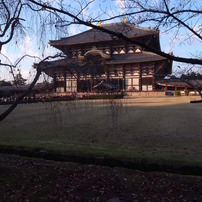 東大寺のポストカード