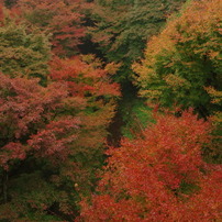 紅葉の渓谷