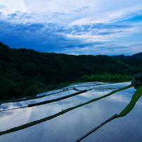 棚田に写る空（愛媛県松山市滝本）旧北条