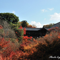 東福寺２０１０