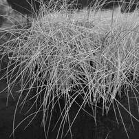 【美品✨】Nikon COOLPIX S3600 コンデジ CCD 作例有 オールドコンデジ COOLPIX S3600をお迎えして思ったこと。｜飯田有抄