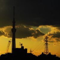 NIKON(ニコン)のデジタルカメラCOOLPIX S3600 で撮影した写真