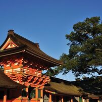宇佐神宮の本殿と空の青