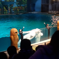 八景島水族館