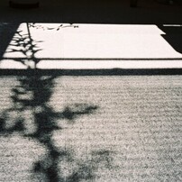 【作例あり】FUJIFILM EPION 1000 MRC TIARA ix FUJIFILM(富士フイルム)のフィルムカメラEPION 1000MRC TIARA ix