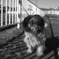 写真句：散歩：B&W29