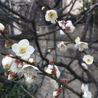 春間近