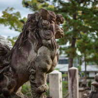 離宮八幡宮　曇り