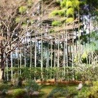 ２０１０．１２．４　京都大原三千院