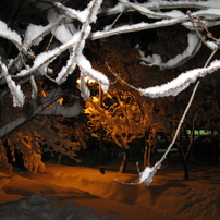 CANON(キヤノン)のデジタルカメラPowerShot A590 IS で撮影した写真