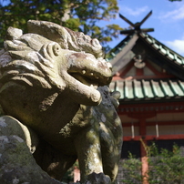 狛犬_筑波山神社