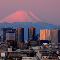 朝日に染まる