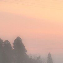 朝霧に…思いをのせて