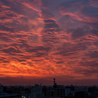 朝の景色を楽しむ