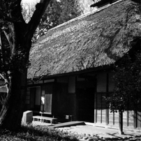 OLYMPUS(オリンパス)のフィルムカメラPEN S3.5 で撮影した写真