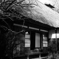 OLYMPUS(オリンパス)のフィルムカメラPEN S3.5 で撮影した写真