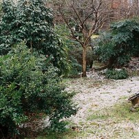 PENTAX(ペンタックス)のフィルムカメラASAHI PENTAX SPF で撮影