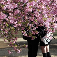 公園の人々 －２５