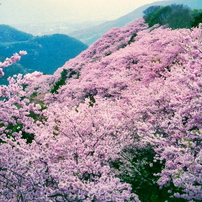 FUJIFILM(富士フイルム)のレンズ SUPER EBC FUJINON TX 90mm f