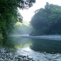 OLYMPUS(オリンパス)のデジタルカメラμ-15 DIGITAL で撮影した写真