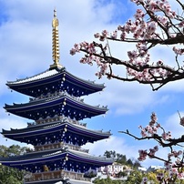 花と塔