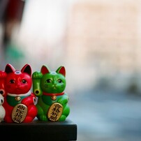 MAMIYA(マミヤ)のレンズ Mamiya KL 127mm F3.5L で撮影した写真(画像