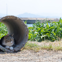 いい場所