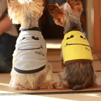 LOVELY DOGS