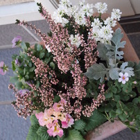 寄せ植え・クラフト作品集