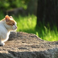 Photo Life『3』