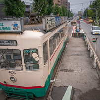 TOKINA(トキナー)のレンズ AT-X 165 PRO DX 16-50mm F2.8 (ﾆｺﾝ用) で