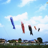 SONY(ソニー)のデジタルカメラサイバーショット DSC-W200 で撮影した