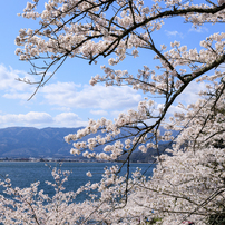 【続】湖西・高島市めぐり