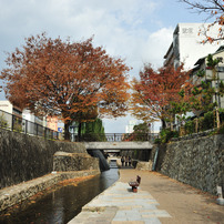 堀川通りの散歩道