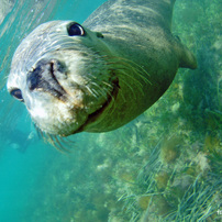 OLYMPUS(オリンパス)のデジタルカメラμ-25 DIGITAL で撮影した写真