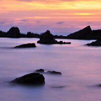 Twilight