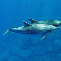 OLYMPUS(オリンパス)のデジタルカメラμ-25 DIGITAL で撮影した写真