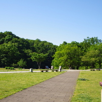 長池公園散策