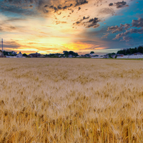 Fujifilm 富士フイルム のレンズ フジノンレンズ Xf16mmf2 8 R Wr ブラック で撮影した写真 画像 一覧 2ページ目 写真共有サイト Photohito