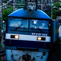 SIGMA(シグマ)のレンズ APO 120-300mm F2.8 EX DG HSM (ﾆｺﾝ AF) で撮影