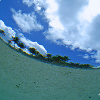 OLYMPUS(オリンパス)のデジタルカメラμ-25 DIGITAL で撮影した写真