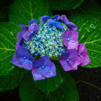 実写美⭕️【動作確認済】FUJIFILM FINEPIX XP80 デジカメ Amazon.co.jp: FUJIFILM デジタルカメラ XP80 イエロー XP80 Y