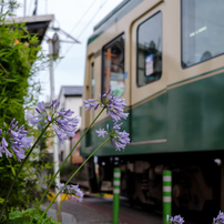 PENTAX(ペンタックス)のレンズ SMC PENTAX67 ズーム55-100mmF4.5 で