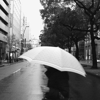 大通りと傘を差す女性の横顔